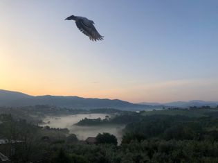 pilgern-foto-von-manuel-1